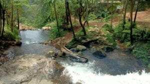 Curug Mandala