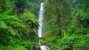 Tempat Wisata di Kendal Jawa Tengah Terbaru 2 | Molly Wisata 2025 Curug Semawur