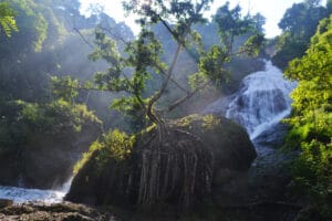 Curug Winong Kaliwiro