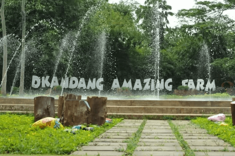 Rekomendasi Tempat Wisata Di Depok Yang Lagi Hits Dikunjungi 9 | Molly Wisata 2025 D’Kandang Amazing Farm