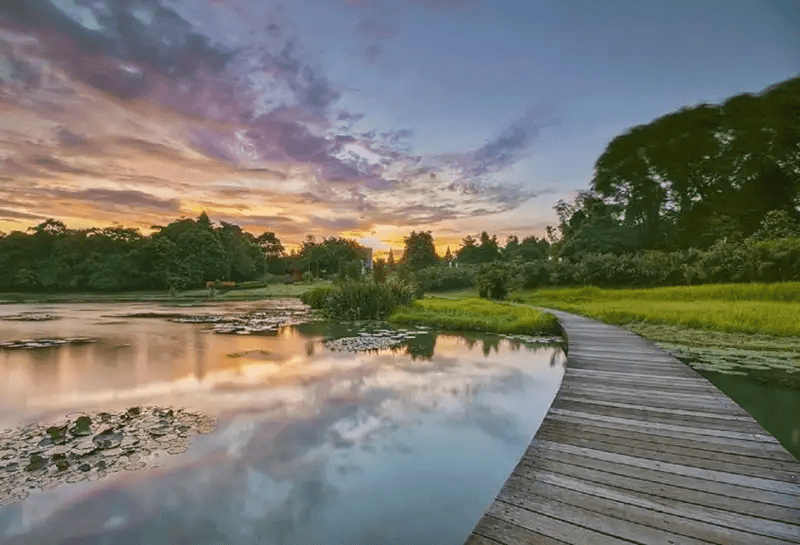 Danau Ecopark LIPI Cibinong