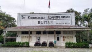 Oleh-Oleh Khas Blitar yang Wajib Kamu Beli! 12 | Molly Wisata 2025 De Karanganjar Koffie Plantage | Molly Wisata 2025