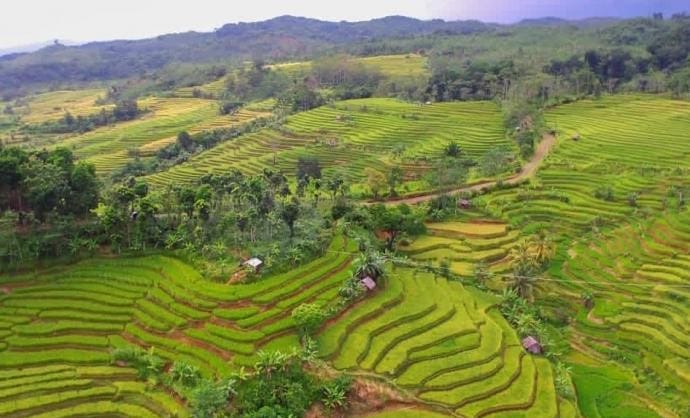 Desa Selasari Pangandaran
