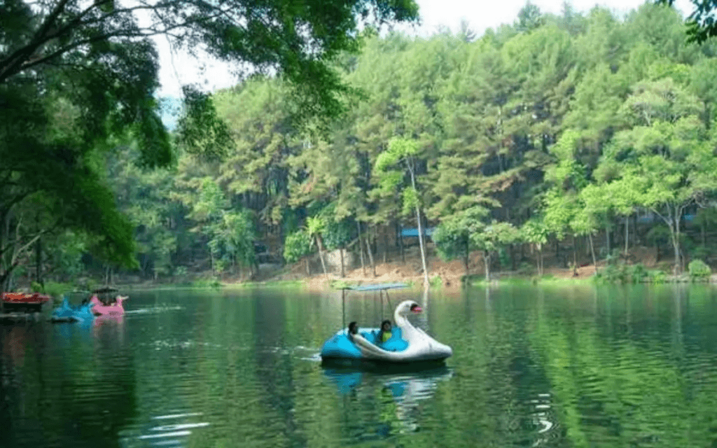 Tempat Wisata di Cirebon yang Paling Diminati 7 | Molly Wisata 2025 Desa Wisata Cikalahang