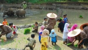 Tempat Wisata di Kendal Jawa Tengah Terbaru 11 | Molly Wisata 2025 Desa Wisata Sembrani