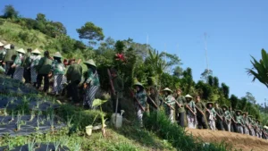 Desa Wisata Sikopyah