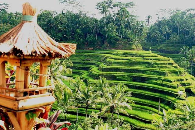 Desa Wisata Ubud