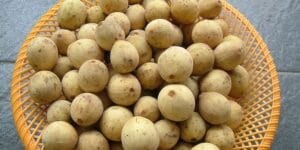 Oleh-oleh Khas Jambi Terfavorit dan Enak, Wajib Coba! 3 | Molly Wisata 2025 Duku Kumpeh