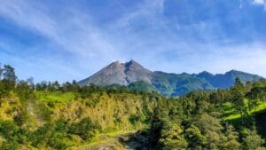 Tempat Wisata di Klaten yang Wajib Kamu Kunjungi 13 | Molly Wisata 2025 Ekowisata Kalitalang