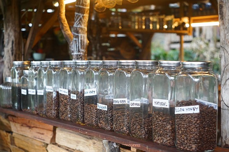 Galeri Kopi