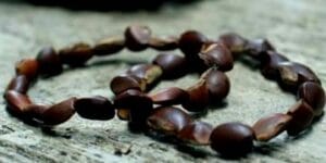 Oleh-oleh Khas Jambi Terfavorit dan Enak, Wajib Coba! 18 | Molly Wisata 2025 Gelang Sebelik Sumpah