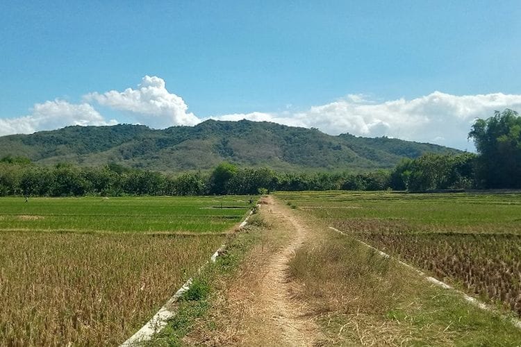 Tempat Wisata di Magetan, Keindahan Kota Kaki Gunung 5 | Molly Wisata 2025 Gunung Bancak