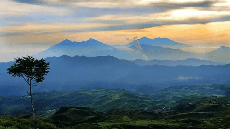 Gunung Halimun