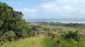 Gunung Selok