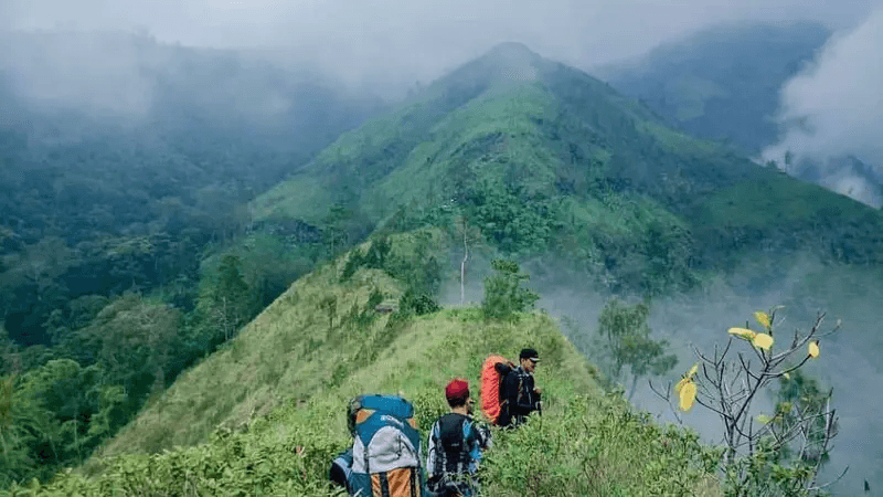 Gunung Wilis