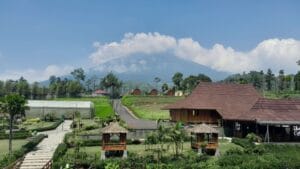 Highland Serang