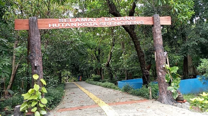 Tempat Wisata di Jakarta Barat Yang Lagi Hits Sarat Nilai Sejarah 2 | Molly Wisata 2025 Hutan Kota Srengseng
