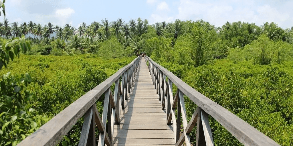 Hutan Mangrove Cengkrong