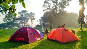 Tempat Wisata di Semarang Paling Keren Banyak Dikunjungi 4 | Molly Wisata 2025 Hutan Penggaron