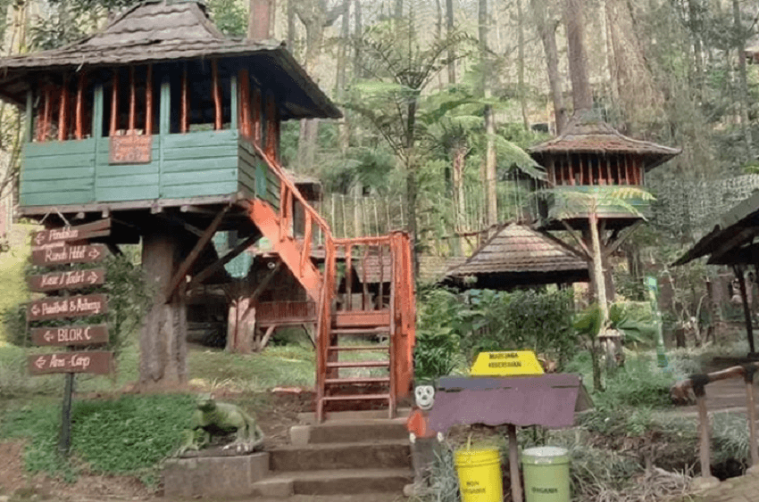 Tempat Wisata di Jonggol Yang Direkomendasikan 7 | Molly Wisata 2025 Hutan Pinus Cipamingkis