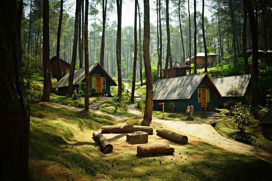 Tempat Wisata Di Ciamis Terindah yang Harus Kamu Kunjungi 9 | Molly Wisata 2025 Hutan Pinus Darmacaang