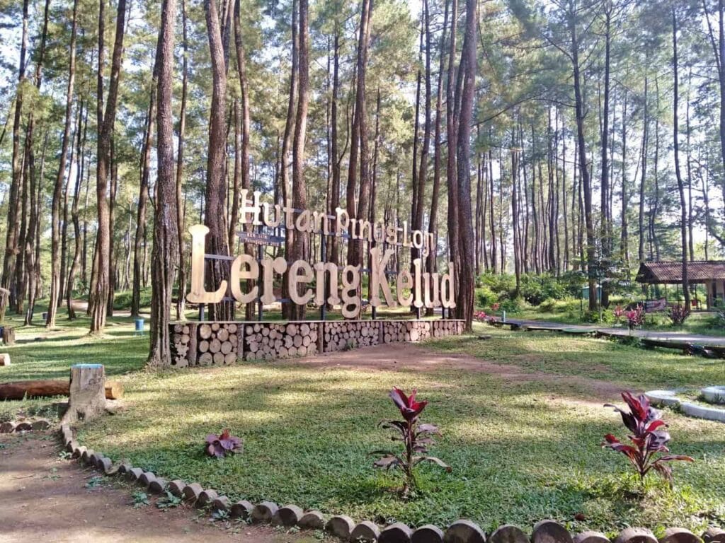 Hutan Pinus Loji