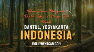 Hutan Pinus Mangunan | Molly Wisata 2024