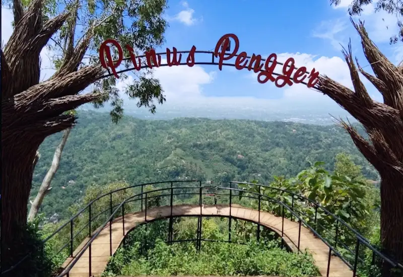 Hutan Pinus Pengger