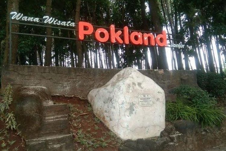 Hutan Pinus Wana Wisata Pokland
