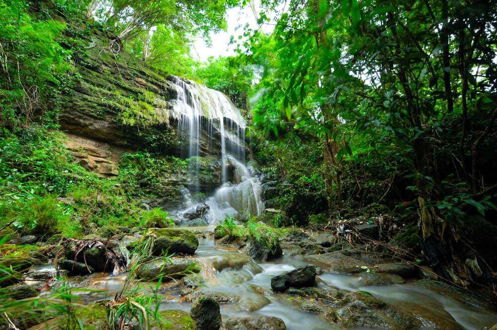 27 Tempat Wisata di Jogja yang Hits, Viral dan Terbaru 13 | Molly Wisata 2025 Hutan Wanagama