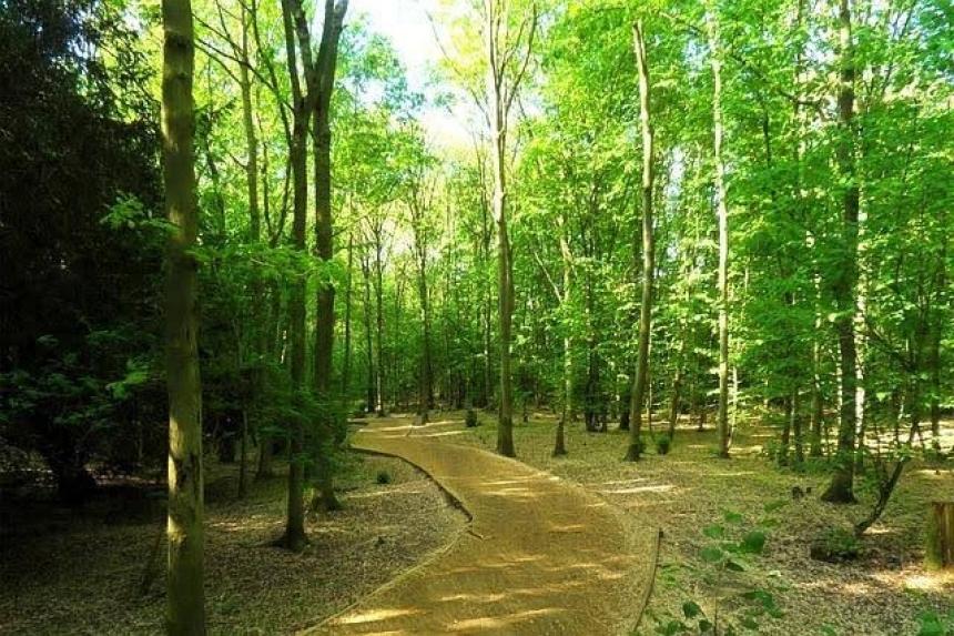 Hutan Wisata Kucur