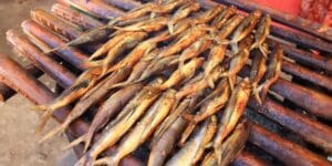 Ikan Terbang Asap | Molly Wisata 2025