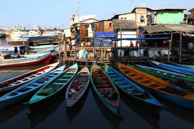 Tempat Wisata di Jakarta Utara Yang Lagi Hits Dengan Pemandangan Eksotis 17 | Molly Wisata 2025 Kampung Luar Batang