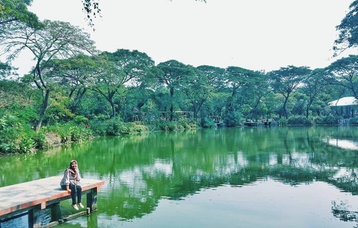 Kebun Bibit