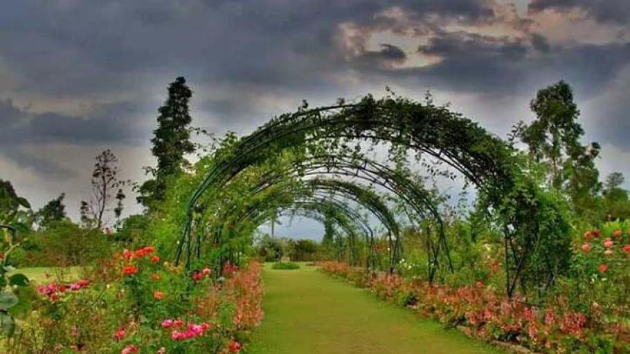 Kebun Mawar Situhapa