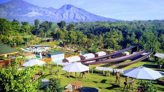 Tempat Wisata Di Pasuruan yang Bisa Bikin Betah 8 | Molly Wisata 2025 Kebun Pak Budi