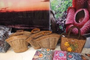 Oleh-oleh Khas Bengkulu yang Wajib Dibawa Pulang! 2 | Molly Wisata 2025 Kerajinan dari Kulit Lantung