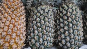 Oleh-oleh Khas Kediri yang Populer Wajib Dibawa Pulang! 8 | Molly Wisata 2025 Kletik Nanas Kediri