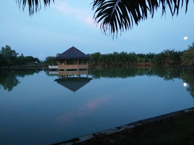 Tempat Wisata Di Nagan Raya Terbaik dan Terpopuler 11 | Molly Wisata 2025 Kolam Ikan Johan