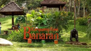 Oleh-Oleh Khas Semarang Kekinian dan Wajib Dibeli! 11 | Molly Wisata 2025 Kopi Banaran