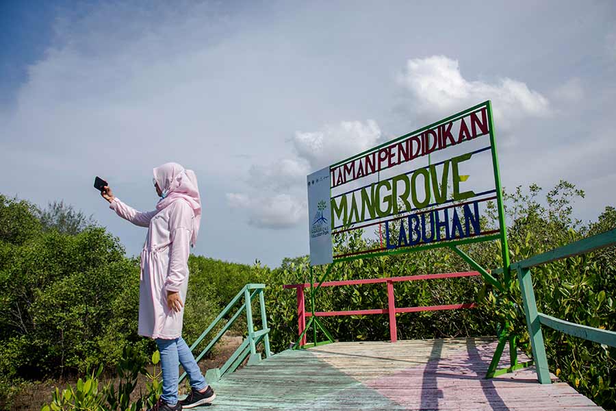 Labuhan Mangrove Education Park