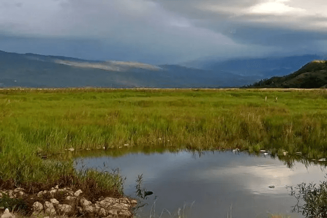 Lembah Hijau