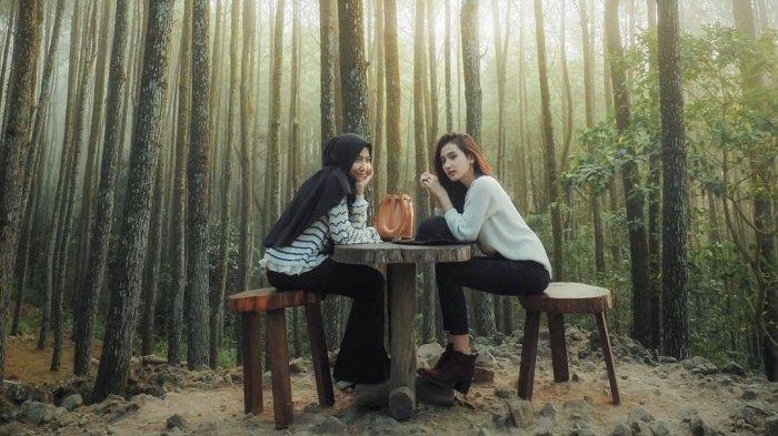 Lokasi Instagramable Di Hutan Pinus Mangunan Bantul
