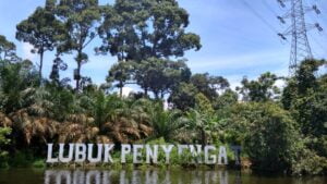 Tempat Wisata di Sumatera Paling Recomended 20 | Molly Wisata 2025 Lubuk Penyengat