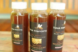 Oleh-Oleh Khas Malang Kekinian dan Terkenal 15 | Molly Wisata 2025 Madu Klanceng