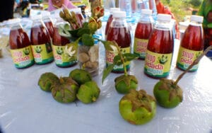 Oleh-oleh Khas Probolinggo yang Paling Dicari dan Wajib Kamu Bawa Pulang 10 | Molly Wisata 2025 Minuman Bakau Khas Probolinggo