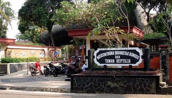 Museum Fauna Indonesia