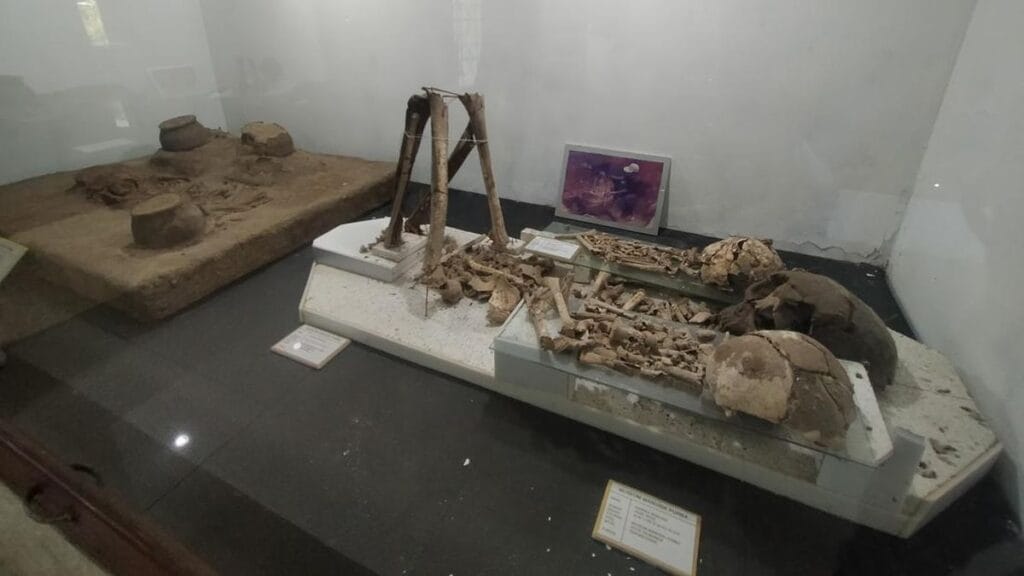 Museum Manusia Purba