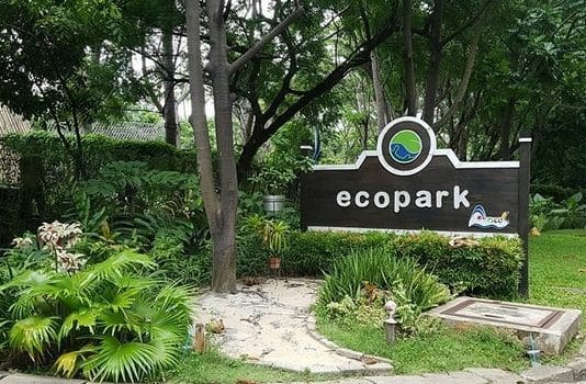 Tempat Wisata di Jakarta Yang Lagi Hits Untuk Liburan Paling Seru 6 | Molly Wisata 2025 Ocean Ecopark