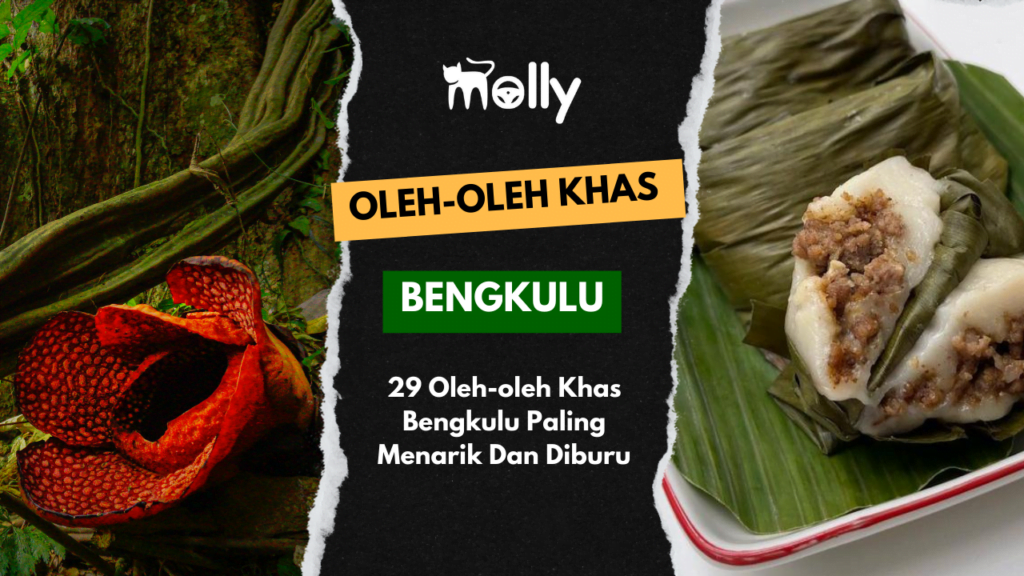 Oleh-oleh Khas Bengkulu yang Wajib Dibawa Pulang! 1 | Molly Wisata 2025 29 Oleh-oleh Khas Bengkulu Paling Menarik Dan Diburu